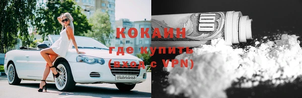 стаф Гусев