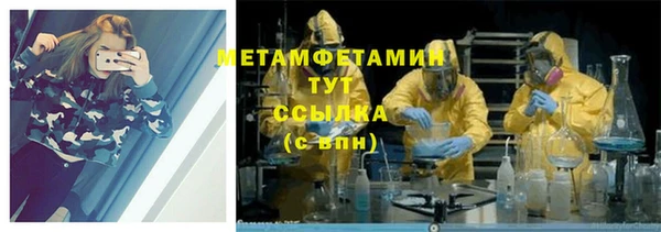индика Инта
