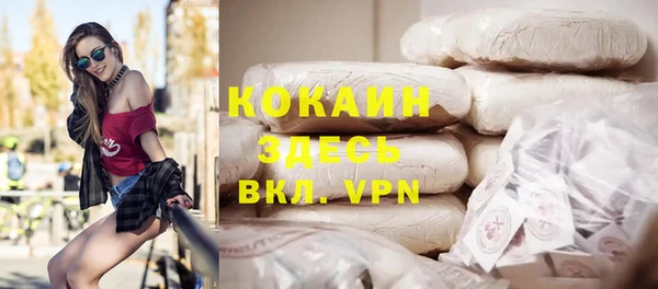 стаф Гусев