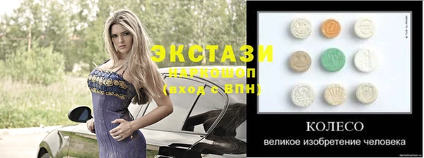 индика Инта