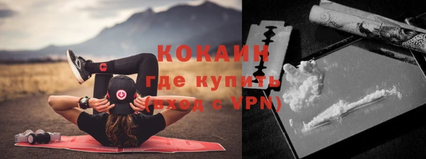стаф Гусев