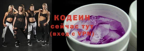гашик Гусиноозёрск