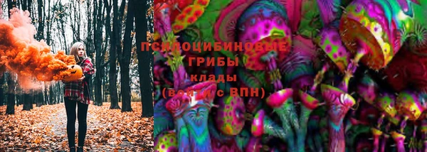 стаф Гусев