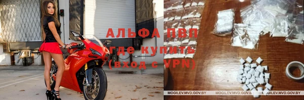 гашик Гусиноозёрск