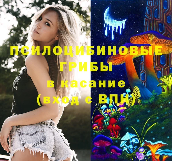 гашик Гусиноозёрск