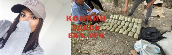 стаф Гусев
