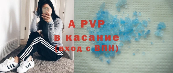 сатива Елабуга