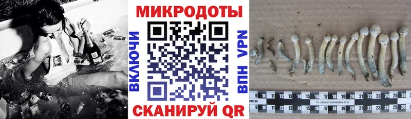 Галлюциногенные грибы GOLDEN TEACHER  Купить закладки  Дзержинский 